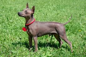 �����Ƒ��Ɍ}����O��